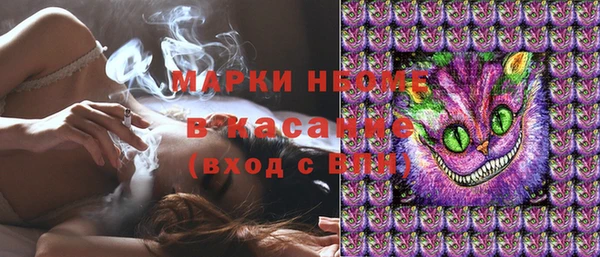 твердый Заводоуковск