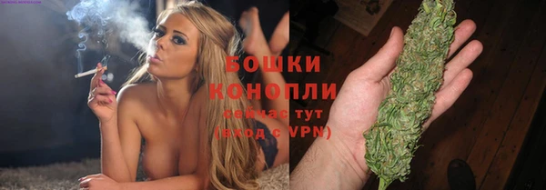 твердый Заводоуковск