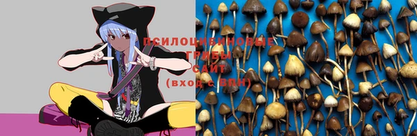 винт Заволжск