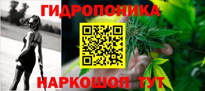 соль ск Будённовск