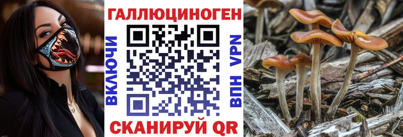 как найти закладки  Миллерово  Псилоцибиновые грибы Psilocybine cubensis 