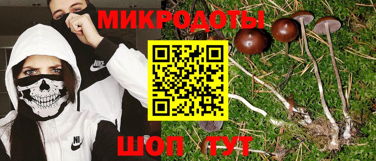 Галлюциногенные грибы Magic Shrooms  Псилоцибиновые грибы Cubensis  Миллерово  Вход с VPN 